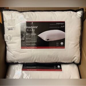 🎉LAST‎ CHANCE🎉2PC BEAUTYREST BLACK Luxurious Down And Feather Blend Pillow